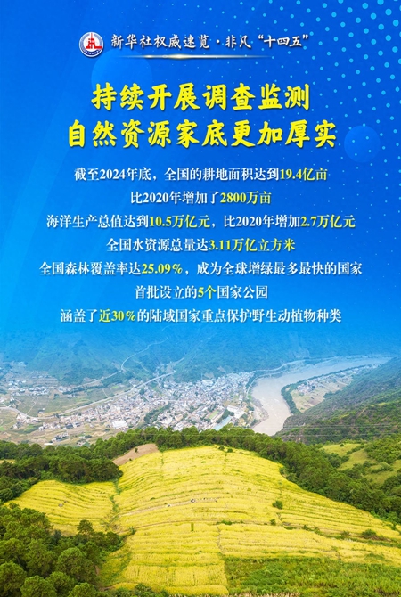 當好自然資源“大管家”美麗中國“守護者”，他們這樣干！