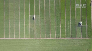 如何讓假劣化肥不再坑農害農？