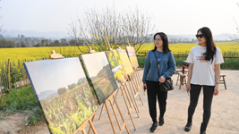 重慶市廣陽(yáng)島打造“生態(tài)大課堂”觀(guān)察