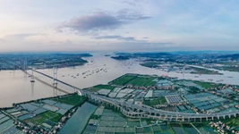 在這里牽手世界——廣州南沙推進(jìn)粵港澳大灣區建設走筆