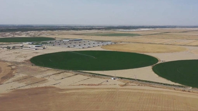 科技賦能 新疆沙漠邊的智慧農場(chǎng)變身“飼草銀行”