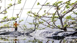 逐夢(mèng)新征程 奮進(jìn)向未來(lái)——2022新開(kāi)局看“筑夢(mèng)中國”新跨越