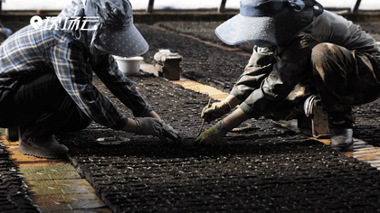 萬(wàn)象“耕”新！碼住人間四月天