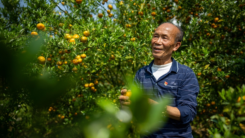 戰山斗山，一代又一代“石漠愚公”書(shū)寫(xiě)傳奇