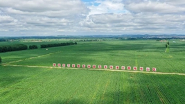 來(lái)自東北“黃金玉米帶”的田野新觀(guān)察