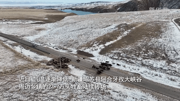 新疆昭蘇：千年牧道見(jiàn)證轉場(chǎng)新變化