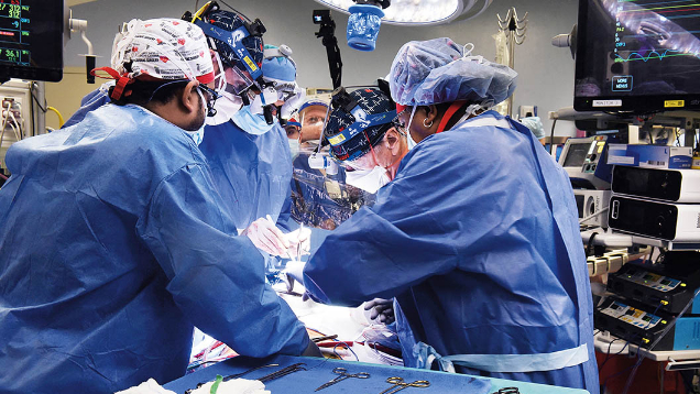 豬器官移植何以“跨物種救命”