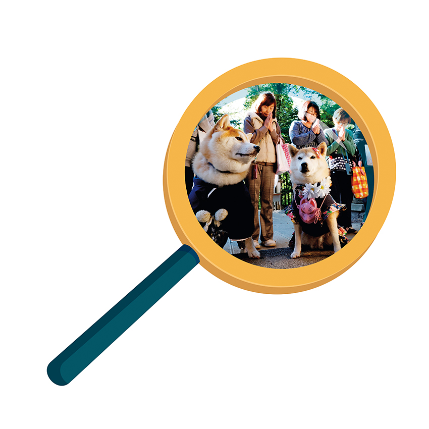 日本“寵物養老”新圖景