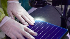 走進(jìn)市場(chǎng)主體｜是什么，讓這家光伏企業(yè)“接連奪冠”？