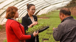 青春，在一線(xiàn)綻放芳華——“最美基層高校畢業(yè)生”速寫(xiě)