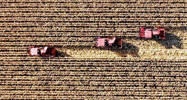 非凡十年｜吉林：加快推動(dòng)全面振興、全方位振興