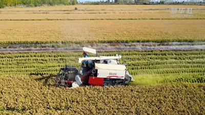 “95后”新農人:在希望的田野上“播種”夢(mèng)想