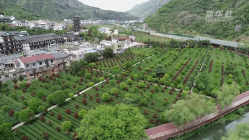 陜西平利:人居環(huán)境整治讓鄉村美麗更宜居