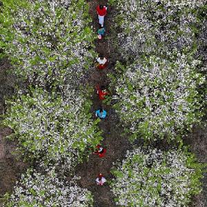 #（社會(huì )）（3）擁抱春天 樂(lè )享春光