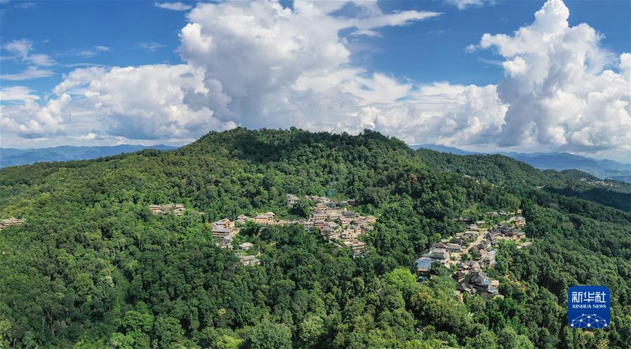 （社會(huì )）（1）“普洱景邁山古茶林文化景觀(guān)”成功申遺