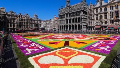 比利時(shí)布魯塞爾舉行第22屆“鮮花地毯”節