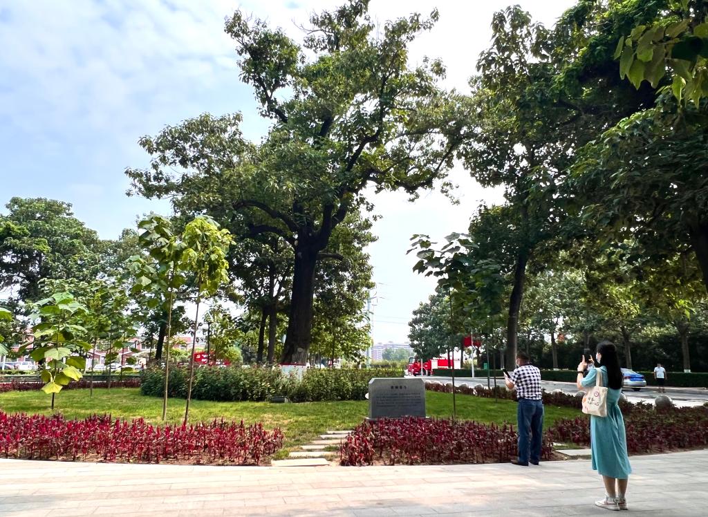 焦裕祿精神，一座永不磨滅的豐碑！