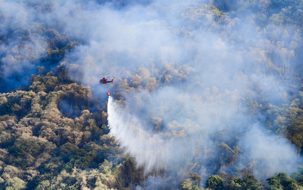 鏡觀(guān)中國·新華社國內新聞?wù)掌恢芫x