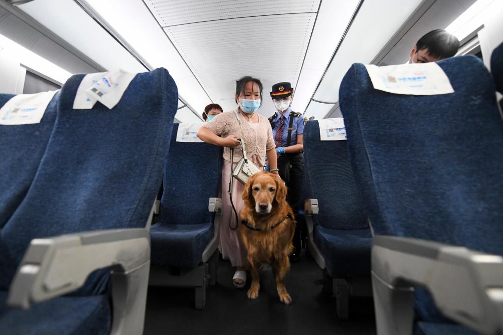 鏡觀(guān)中國·新華社國內新聞?wù)掌恢芫x