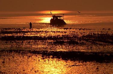 鏡觀(guān)中國·新華社國內新聞?wù)掌恢芫x