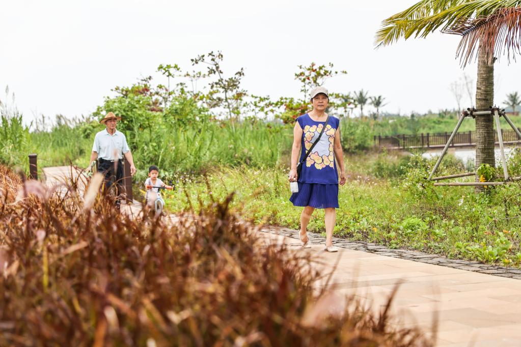 ?？冢汉忧灏毒G的邁雅河濕地公園