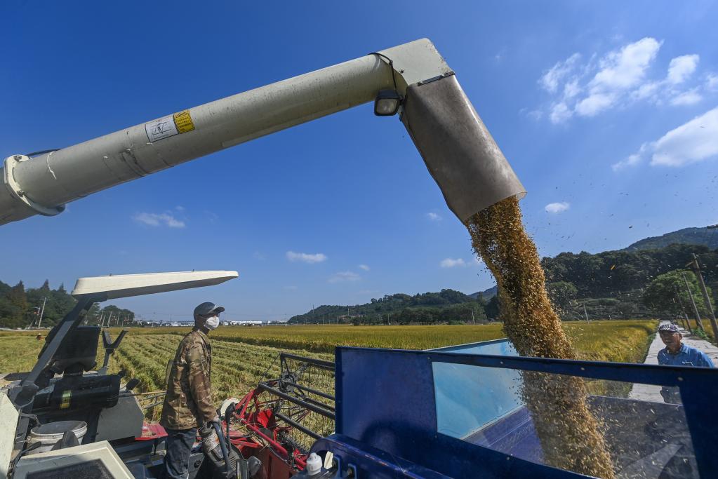 新華全媒+｜魚(yú)米之鄉喜迎豐收