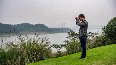 新華全媒+丨“鳥(niǎo)博士”見(jiàn)證長(cháng)江上游最大江心島生態(tài)蝶變