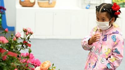 安徽合肥：“苗交會(huì )”引客來(lái)