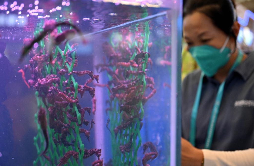 2022年中國（海南）國際熱帶農產(chǎn)品冬季交易會(huì )開(kāi)幕