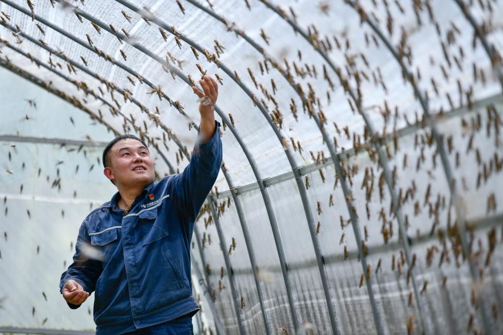 駐村第一書(shū)記劉開(kāi)福的鄉村振興計劃