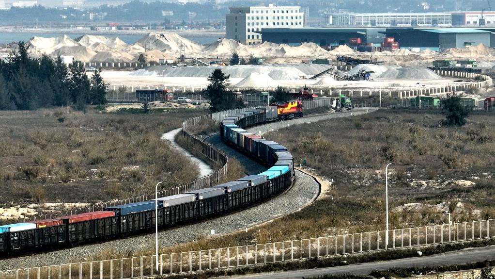 新華全媒+丨西部陸海新通道開(kāi)出2023年首趟鐵海聯(lián)運年貨班列