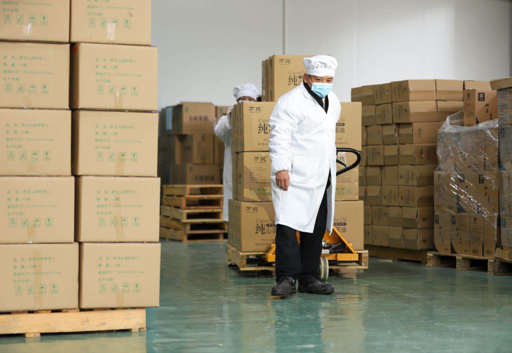 貴州玉屏：油茶全產(chǎn)業(yè)鏈助力鄉村振興