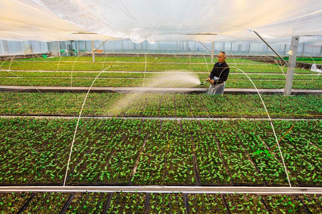 春來(lái)農事忙