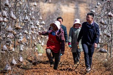 代表委員履職故事｜全國人大代表袁海波：“我是農民工，更懂農民工”