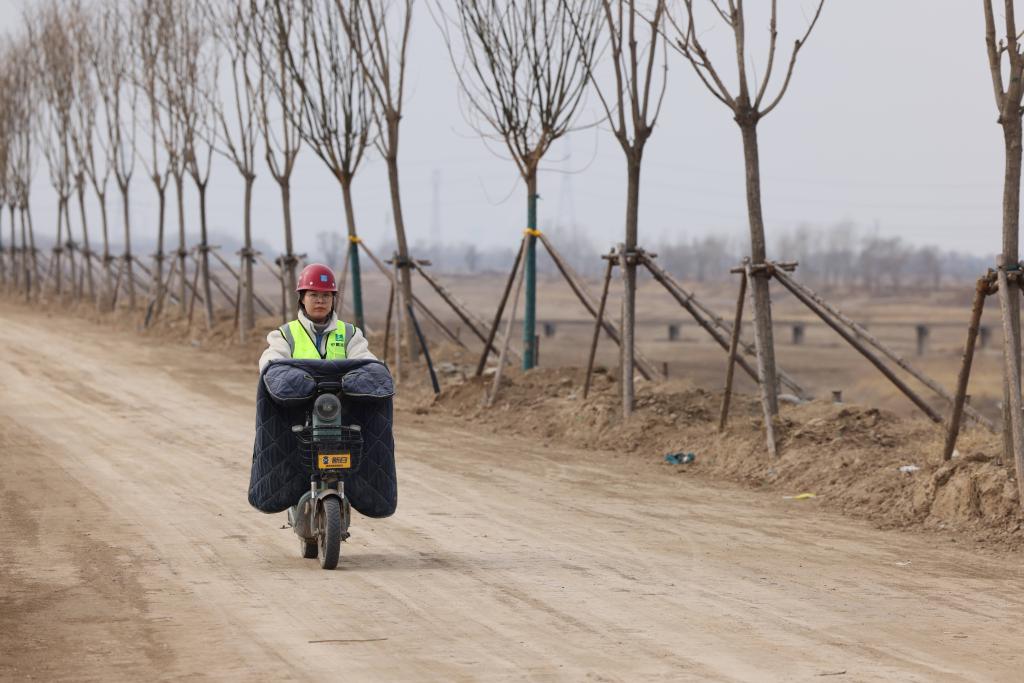 勞動(dòng)創(chuàng  )造幸福 | 建設雄安的“00后”女孩