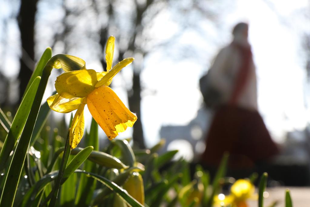 比利時(shí):初春時(shí)節