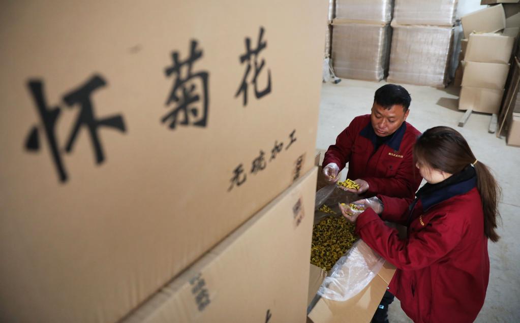 河南武陟:“土特產(chǎn)”俏市場(chǎng)