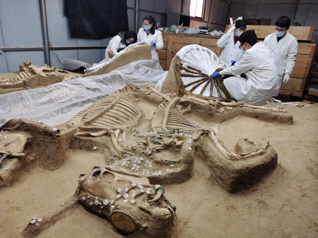 河北行唐故郡遺址考古工作穩步推進(jìn)