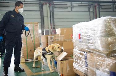 首都機場(chǎng)海關(guān)多措并舉服務(wù)國際快件企業(yè)