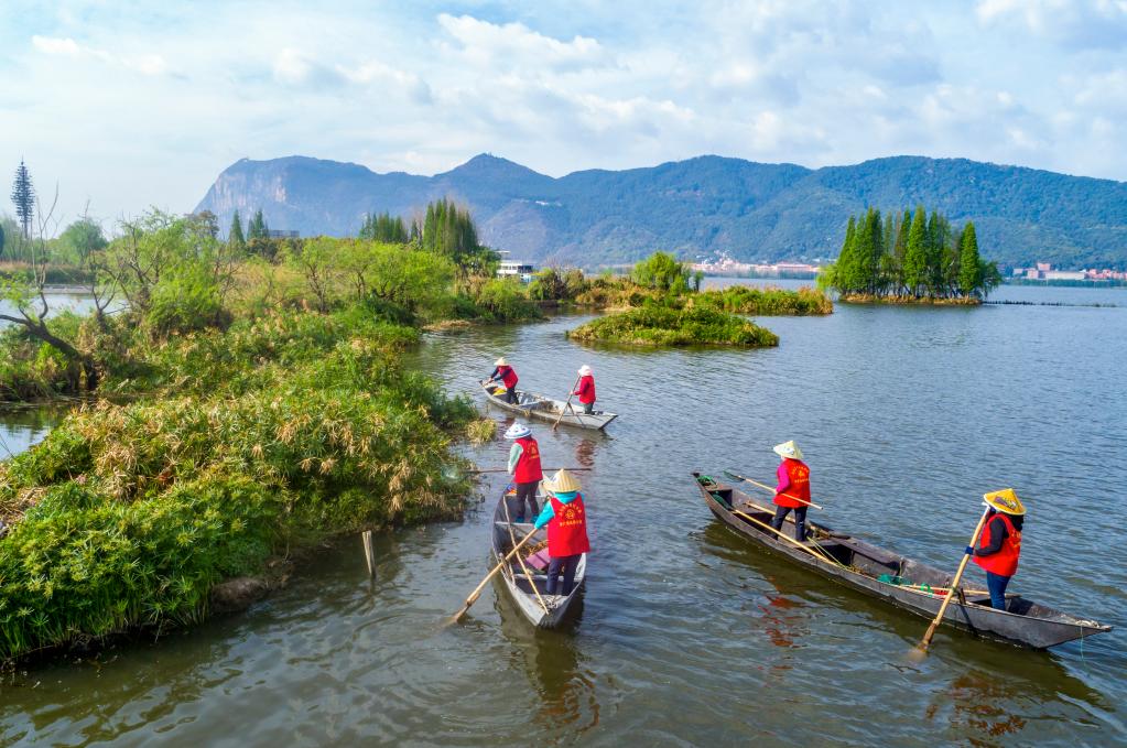 新華全媒+丨巾幗打撈隊:守護滇池三十余載
