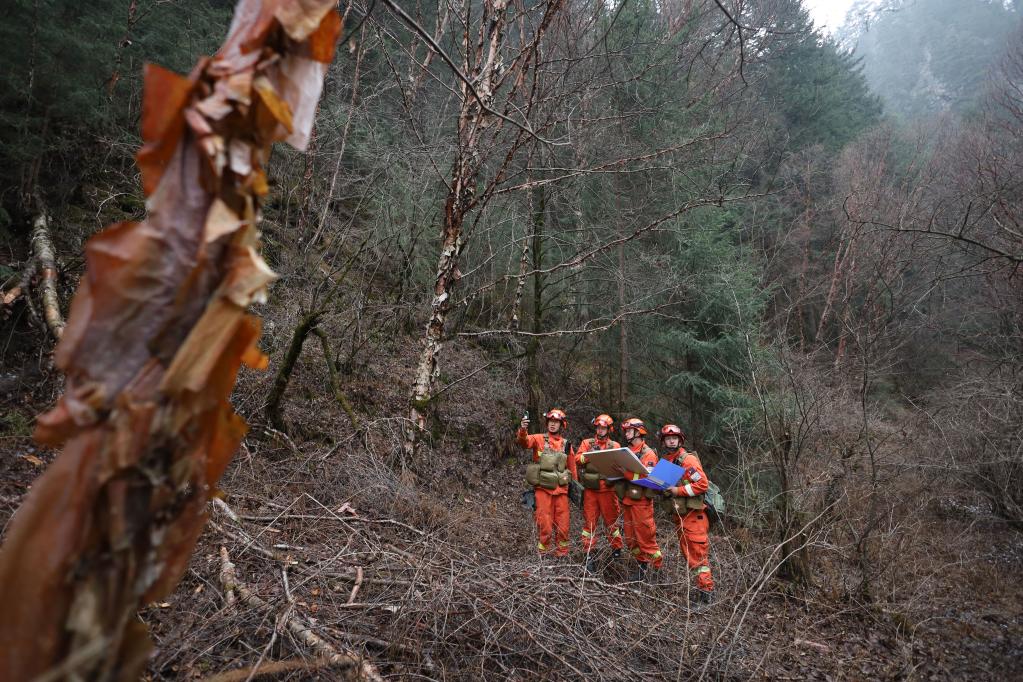清明巡林，守護茫茫林海