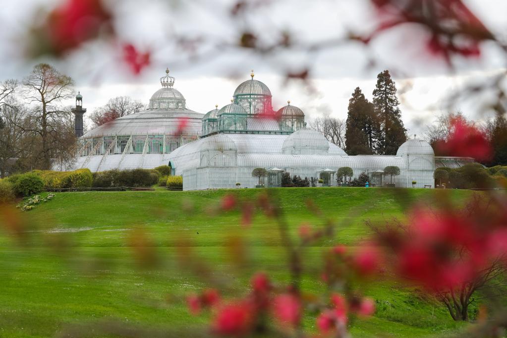 比利時(shí)：王家溫室花園對公眾開(kāi)放