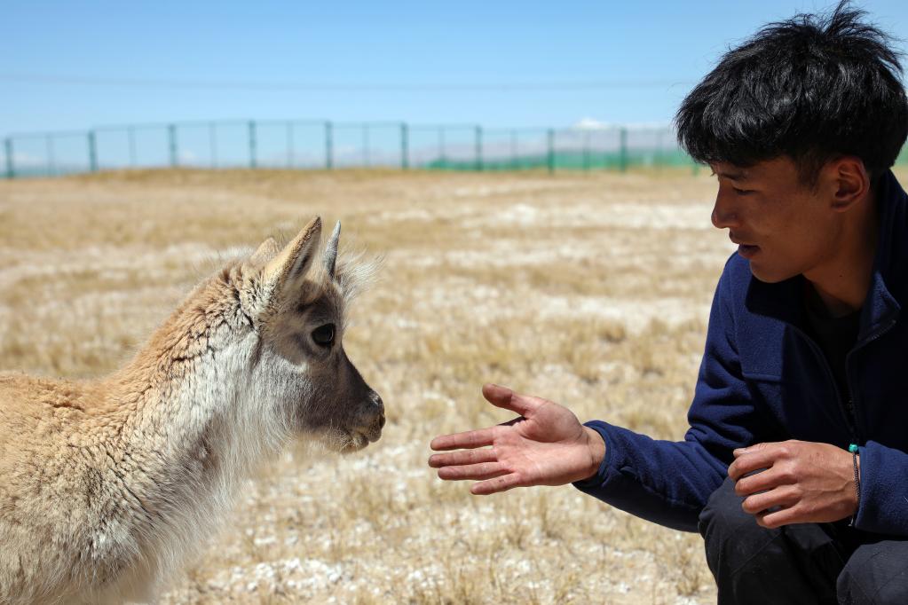 青?？煽晌骼铮罕痪戎亓缪蛴揍套聣殉砷L(cháng)