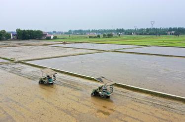 湖南益陽(yáng)：機械化助力春耕