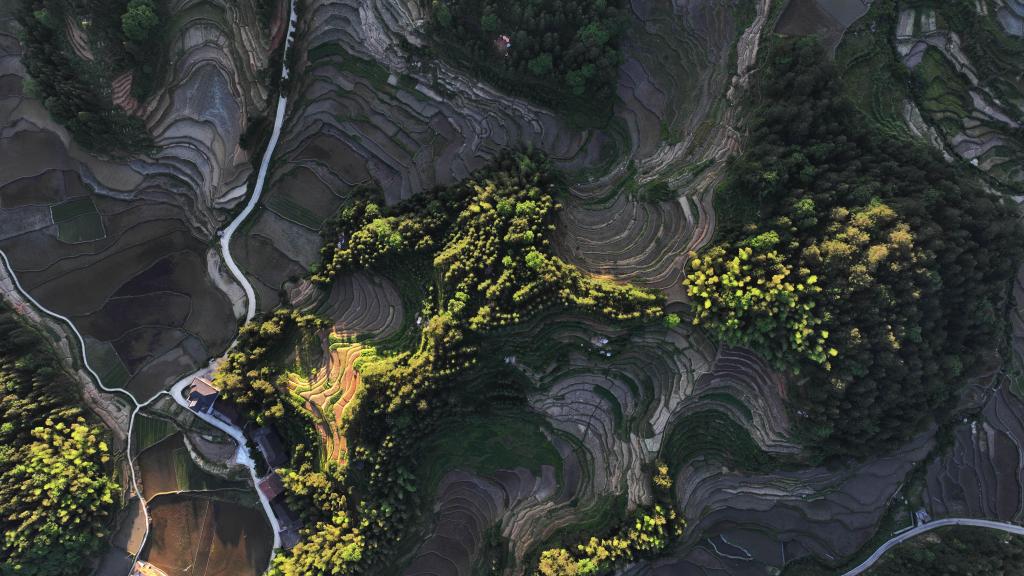 美麗中國丨“瞰”梯田:水影天光紫鵲界