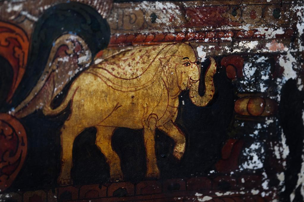 國道之行 從雪山奔向大海丨這么可愛(ài)的國寶，你見(jiàn)過(guò)嗎？