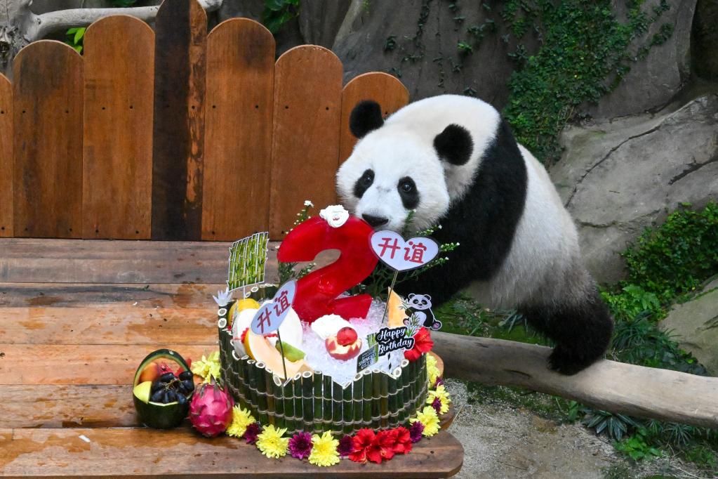 “升誼”兩歲啦！