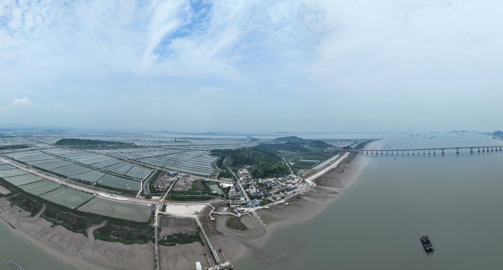 “千萬(wàn)工程”調研行丨浙江三門(mén):蛇蟠島上譜新篇