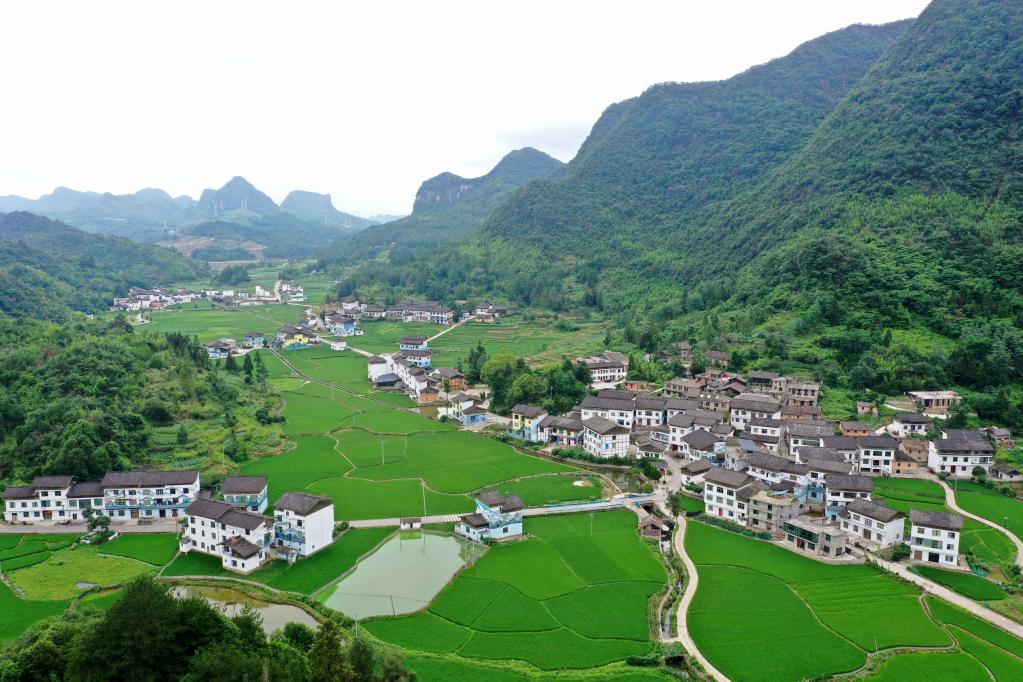 貴州荔波:藝術(shù)從業(yè)者“進(jìn)村”