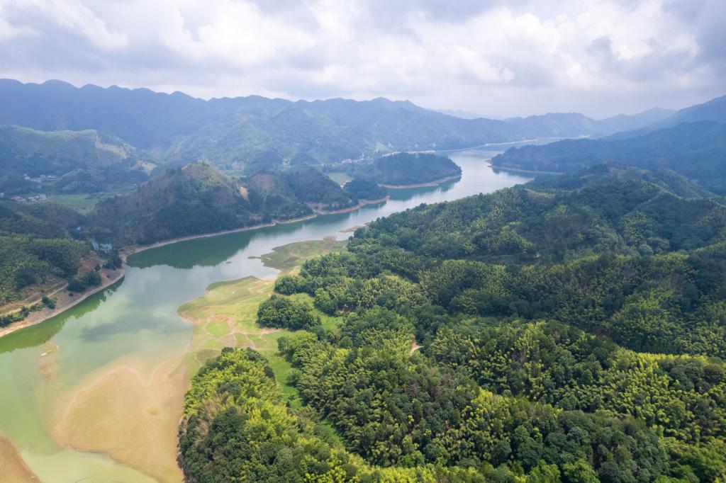 湖南桃江：治理竹蝗正當時(shí)